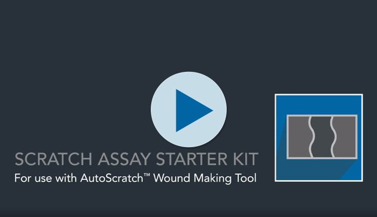 Scratch Assay Starter Kit for Wound Healing and Cell Migration Assays